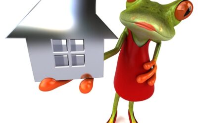 Ile można zarobić wynajmując lokal Żabce?